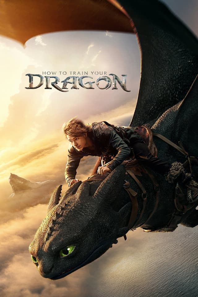 How to Train Your Dragon's poster